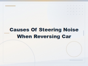 Causes of Steering Noise When Reversing: Diy Tie Rod Replacement Guide